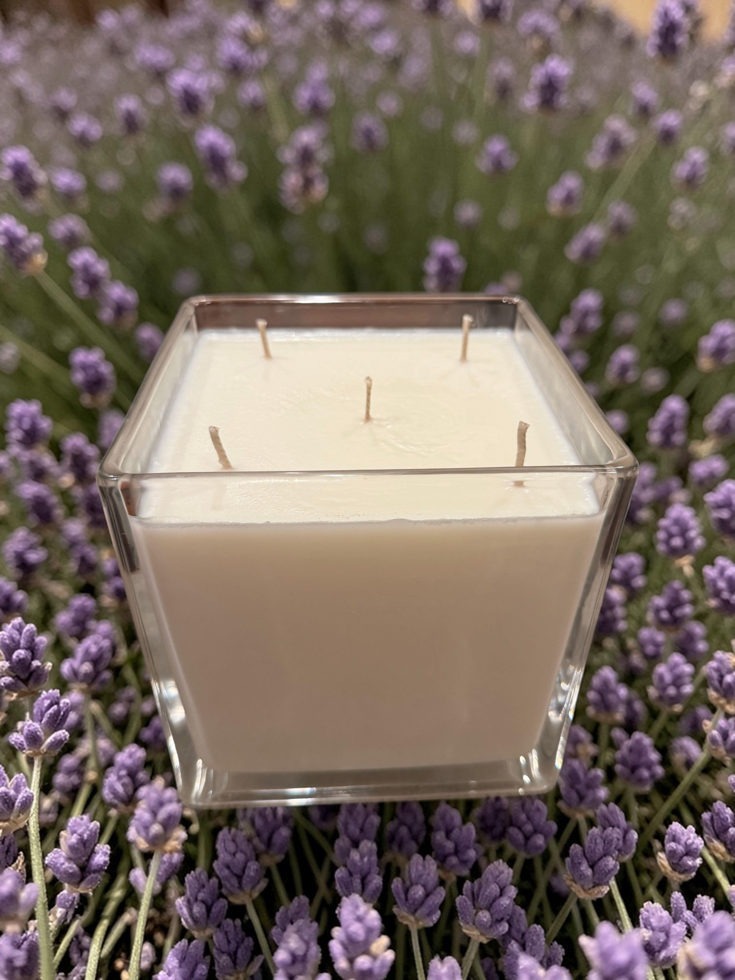 56 Ounce Square Glass Lavender Fields Soy Wax Candle