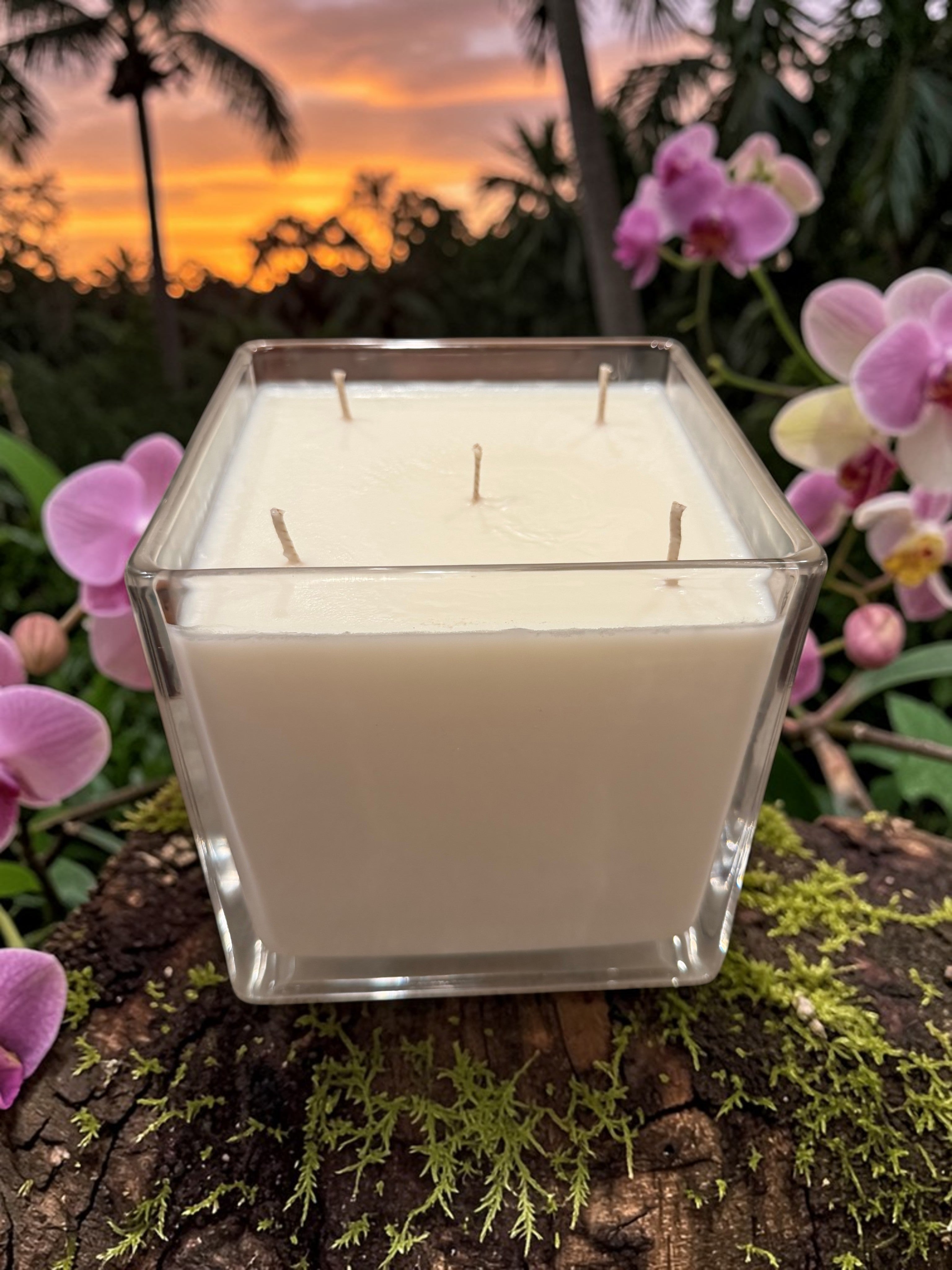 56 Ounce Square Glass Tropical Rainforest Soy Wax Candle
