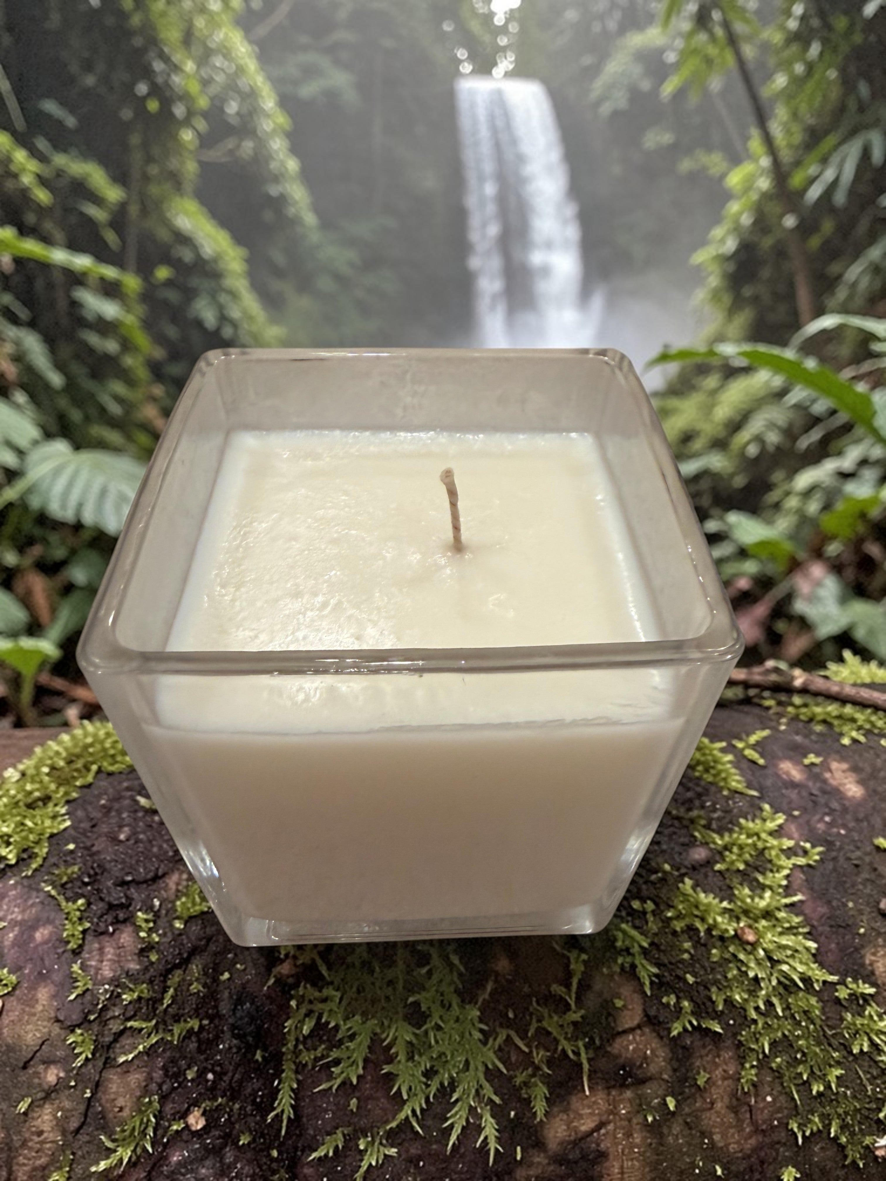 8 Ounce Square Glass Tropical Rainforest Soy Wax Candle